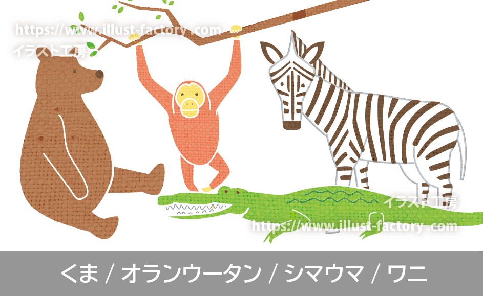 手書き風動物イラスト　動物　イラスト　くま　オランウータン　シマウマ　ワニ　イラスト制作