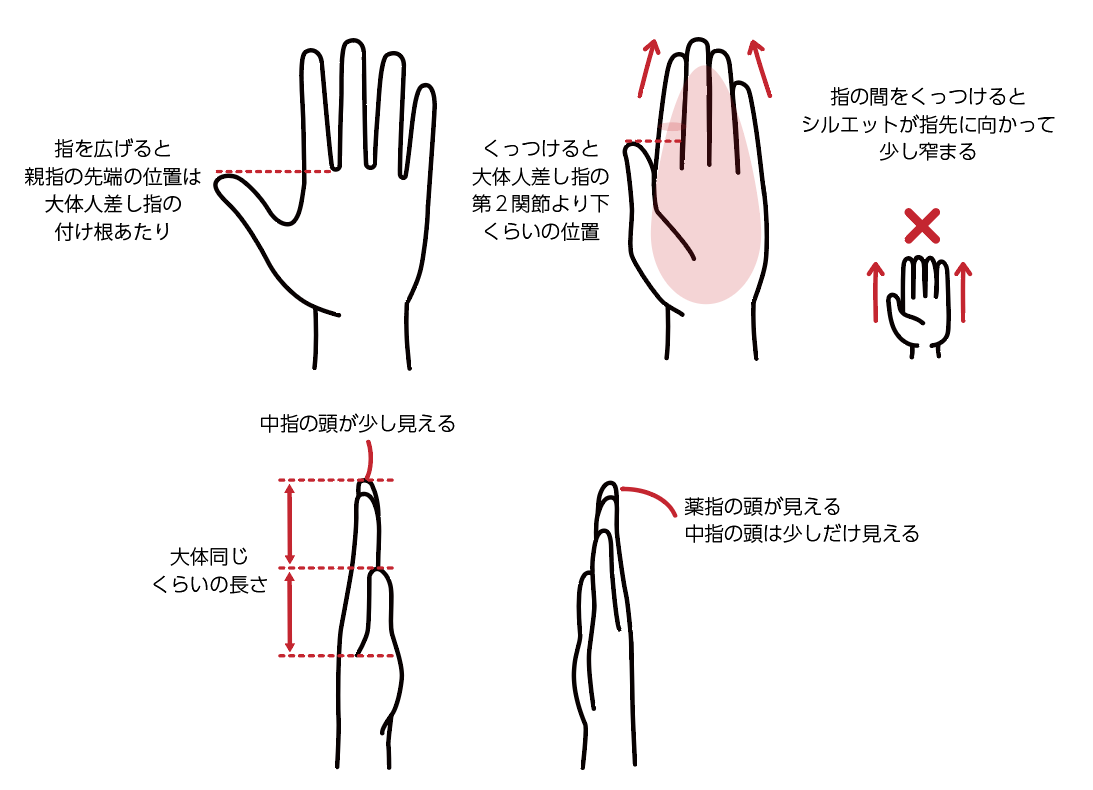 カンタン！　初心者向け　手の描き方　イラスト講座　イラストノウハウ　手のバランス