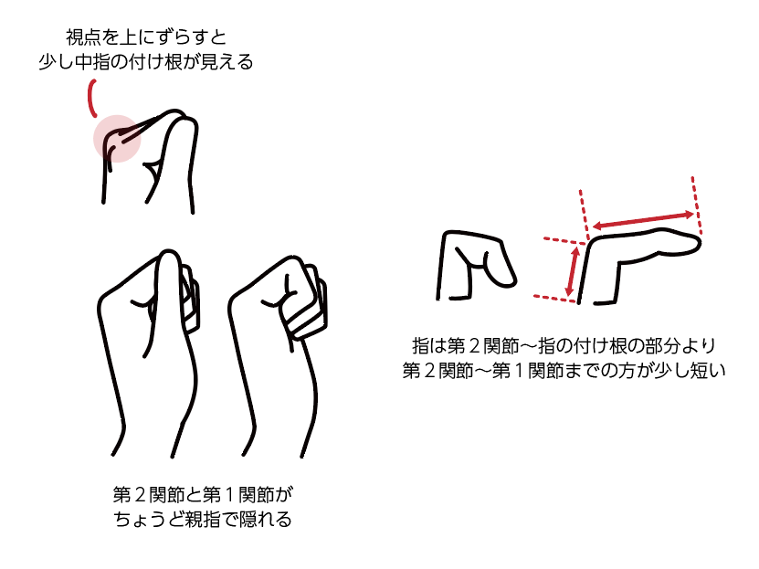 カンタン！　初心者向け　手の描き方　イラスト講座　イラストノウハウ　握った手の描き方